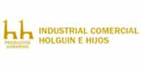 iso para industrial comercio holguin e hijos